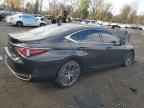 2024 LEXUS Es