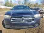 2014 DODGE CHARGER