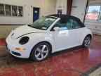 2007 VOLKSWAGEN Beetle