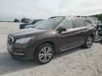 2020 SUBARU Ascent
