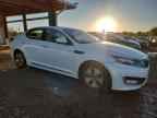 2013 KIA Optima Hybrid