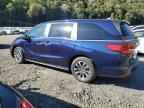 2024 HONDA ODYSSEY