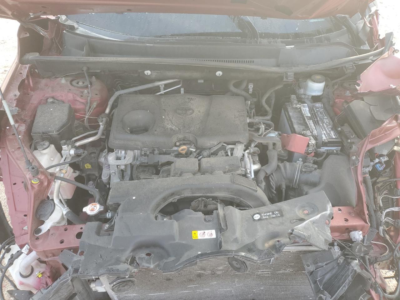 2019 TOYOTA RAV4