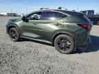 2025 LEXUS Nx