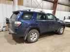 2024 TOYOTA 4Runner