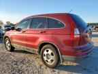 2010 HONDA CR-V