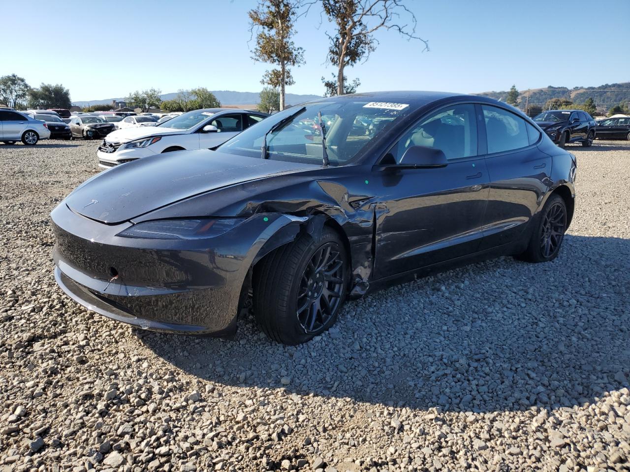 2025 TESLA MODEL 3