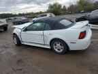 1999 FORD MUSTANG