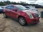 2010 CADILLAC SRX