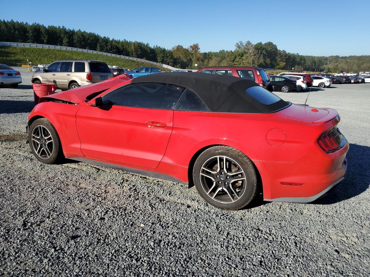 2019 FORD MUSTANG