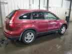 2010 HONDA CR-V