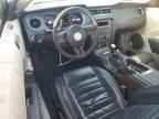 2010 FORD MUSTANG