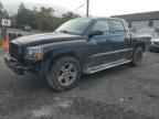 2008 DODGE Dakota