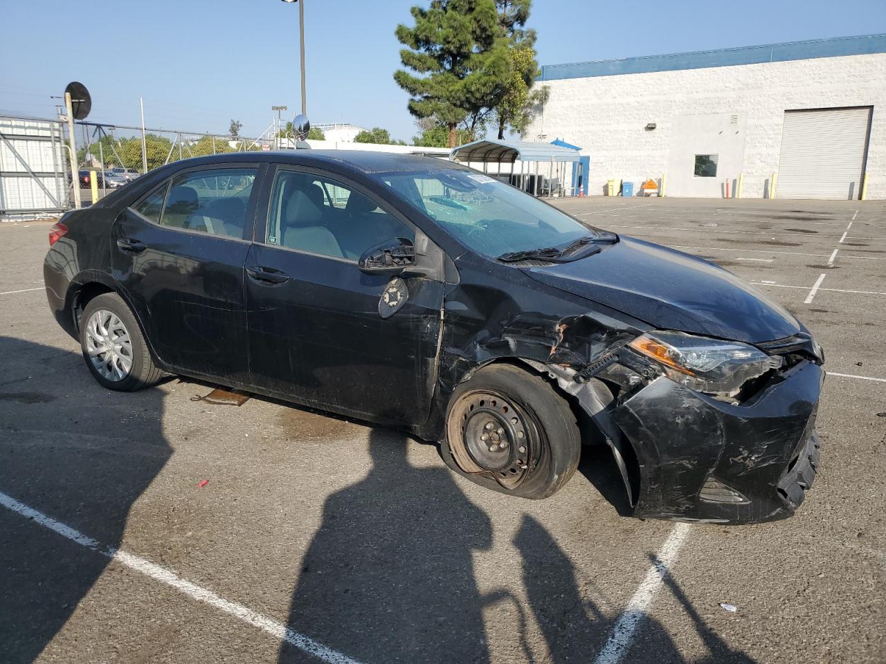 2019 TOYOTA COROLLA