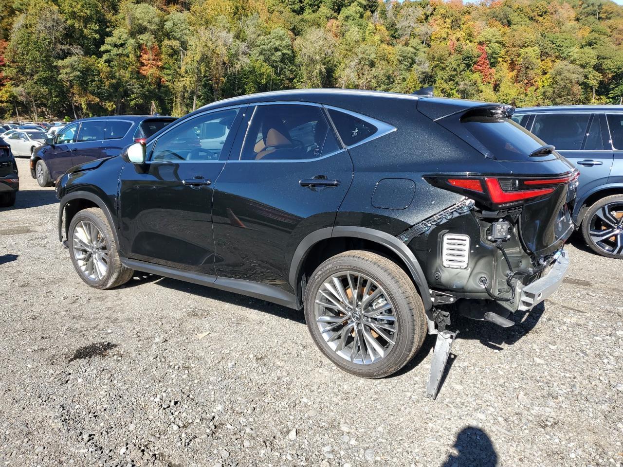 2025 LEXUS Nx