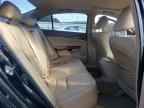 2009 HONDA ACCORD