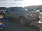 2009 FORD F-150
