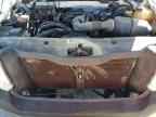2007 FORD F-150