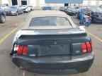 1999 FORD MUSTANG