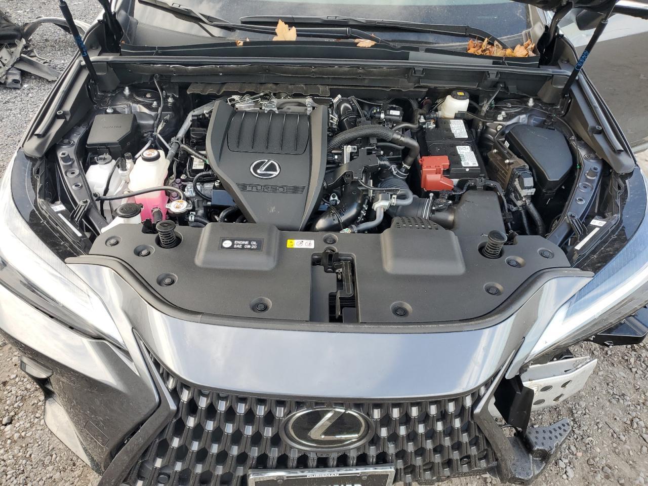 2024 LEXUS Nx