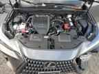 2024 LEXUS Nx
