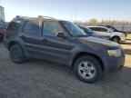 2006 FORD ESCAPE