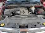 2009 DODGE RAM 1500