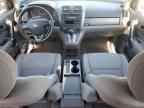 2009 HONDA CR-V