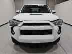 2024 TOYOTA 4Runner