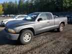 2002 DODGE Dakota