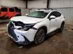 2024 LEXUS Nx
