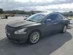 2014 NISSAN Maxima