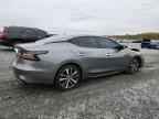 2023 NISSAN Maxima