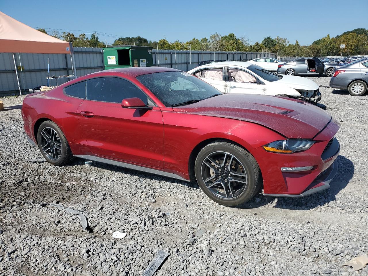 2019 FORD MUSTANG