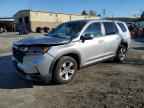 2024 HONDA PILOT