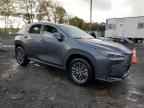 2025 LEXUS Nx