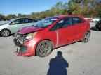 2013 KIA RIO