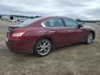 2010 NISSAN Maxima