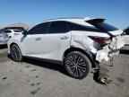 2024 LEXUS RX 350