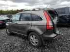 2010 HONDA CR-V