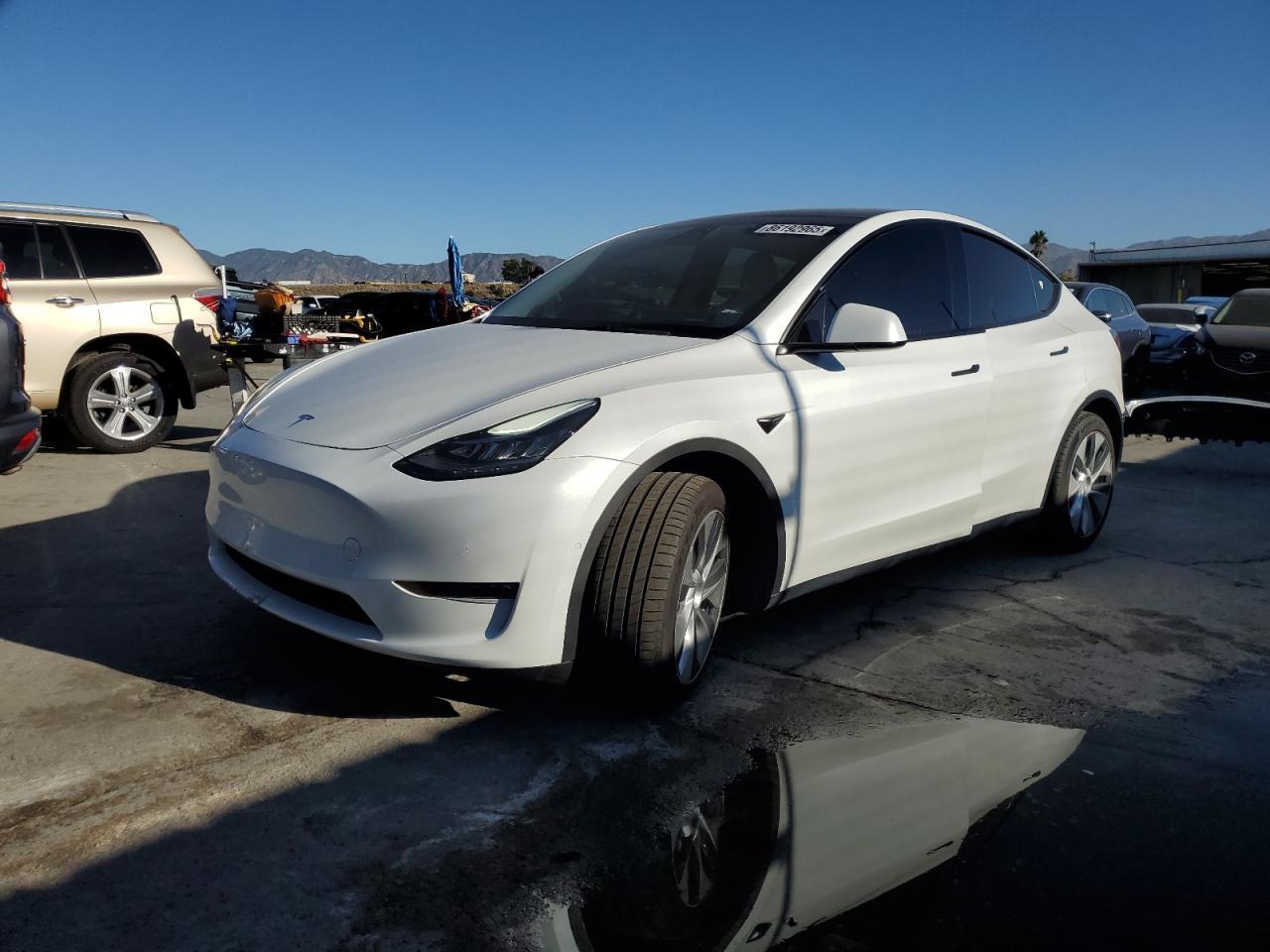 2021 TESLA MODEL Y