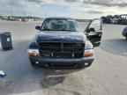 2002 DODGE Dakota