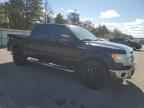 2009 FORD F-150