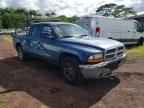 2003 DODGE Dakota