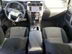 2023 TOYOTA 4Runner