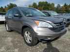 2010 HONDA CR-V