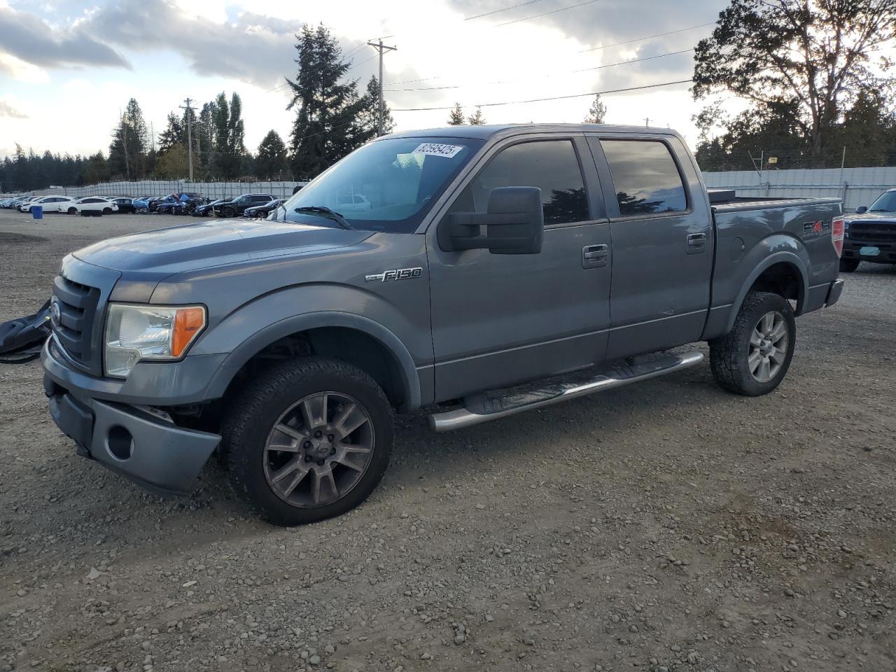 2010 FORD F-150