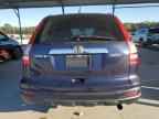 2010 HONDA CR-V