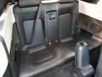 2009 VOLKSWAGEN Beetle