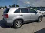 2011 KIA SORENTO